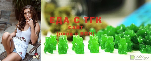 тгк Абаза