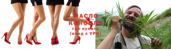 тгк Абаза
