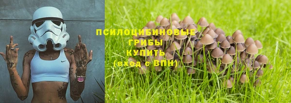тгк Абаза